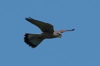 Willeskop Nature Reserve